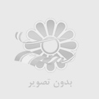 طراحی سایت با ویکی دمی: گامی به سوی موفقیت دیجیتال